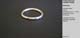 219_Ring_R119