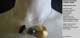 430_Halsschmuck_HK1056_1