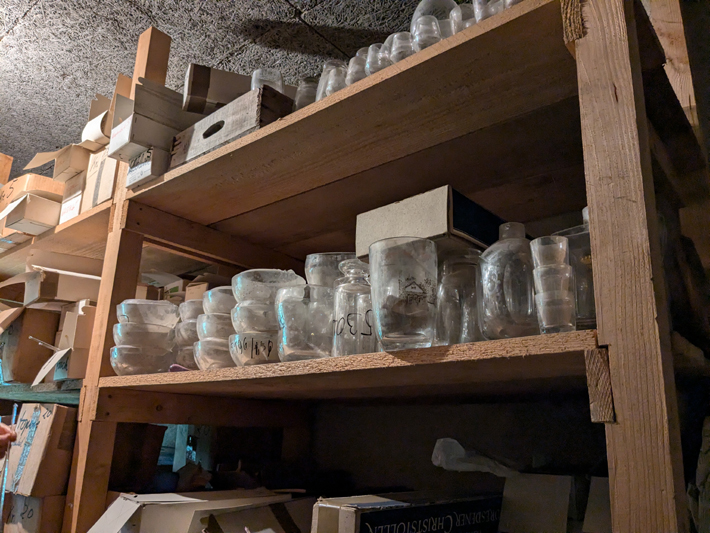 PXL_20240628_094653609