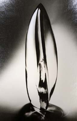 12_glashart_schechinger_PXL_20241212_174144399~2