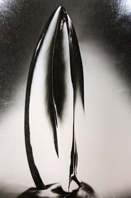 13_glashart_schechinger_PXL_20241212_174201686.MP~2